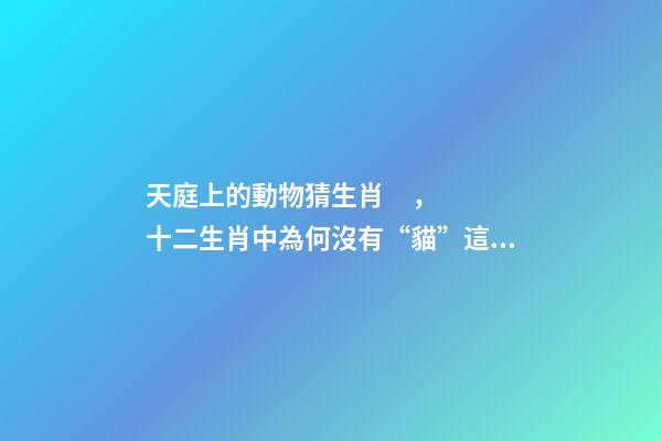 天庭上的動物猜生肖，十二生肖中為何沒有“貓”這一屬相